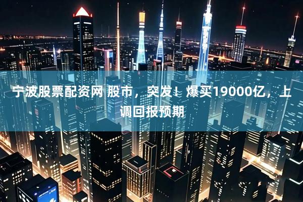 宁波股票配资网 股市，突发！爆买19000亿，上调回报预期